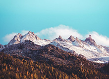 沈阳队队员选拔火热进行：3天，430多人报名